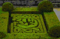 Hedges picture
